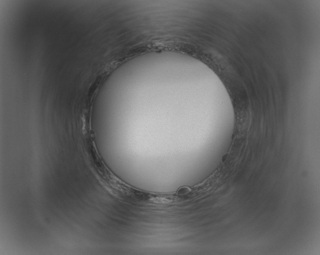X0000073990703200608211042