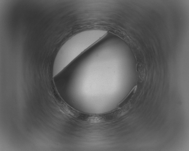 X0000073990704200608211042