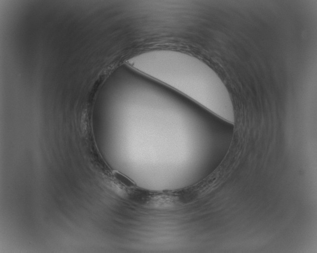 X0000073990708200608211042