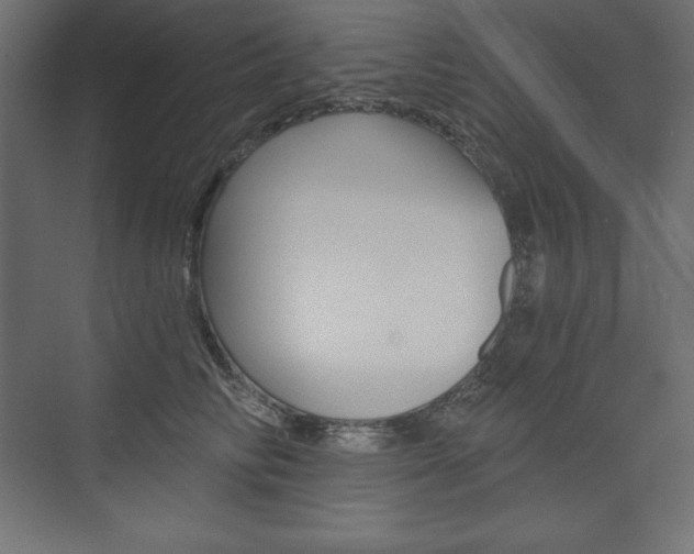 X0000073990710200608211042