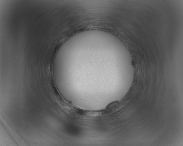 X0000073990711200608211042