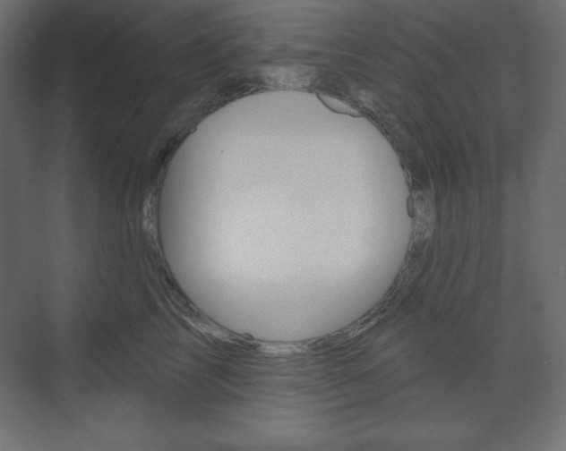 X0000073990713200608211042