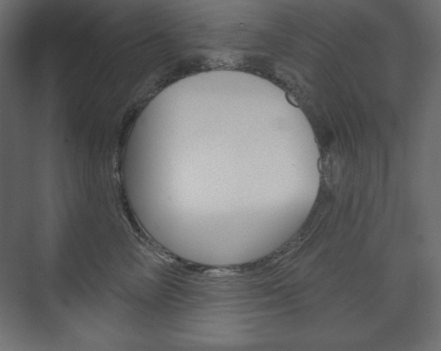 X0000073990714200608211042
