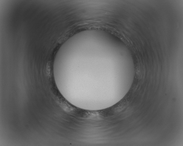 X0000073990715200608211042