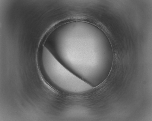 X0000073990726200608211041
