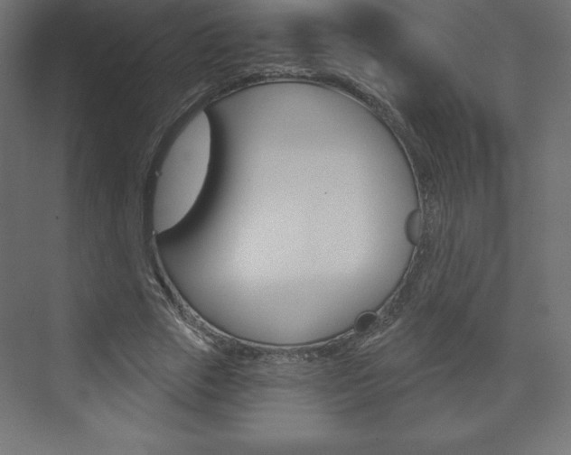 X0000073990729200608211041