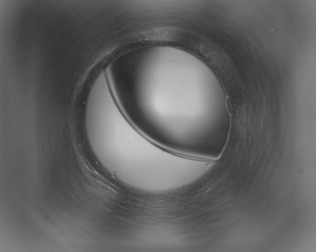 X0000073990731200608211041