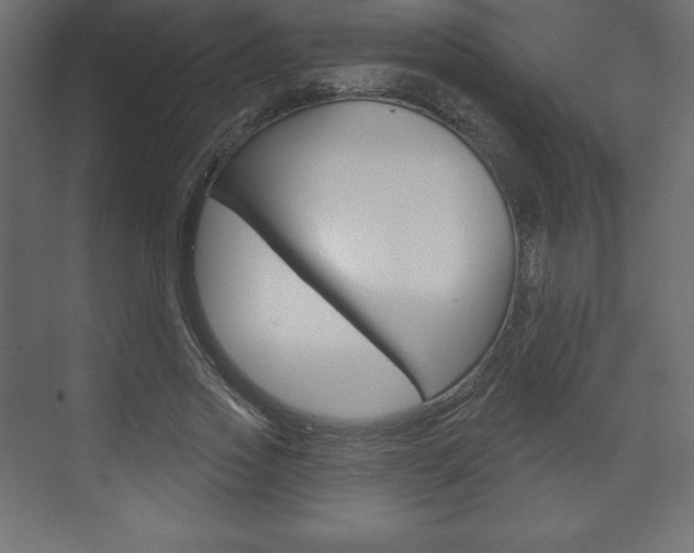 X0000073990733200608211041