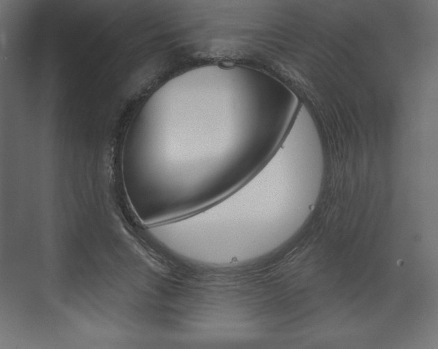 X0000073990735200608211041
