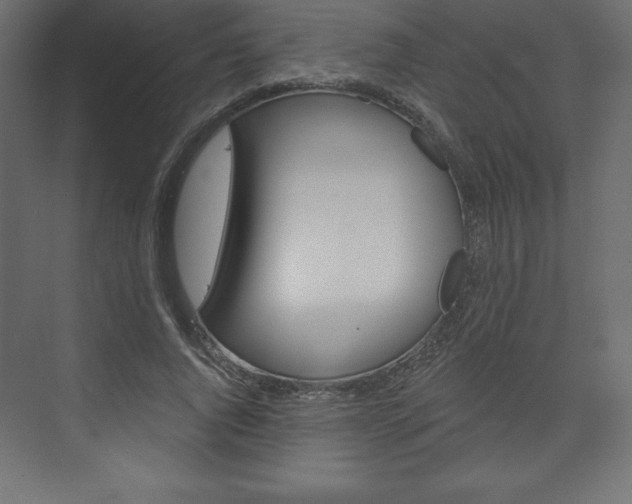 X0000073990736200608211041