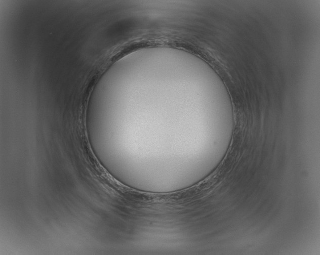 X0000073990737200608211041