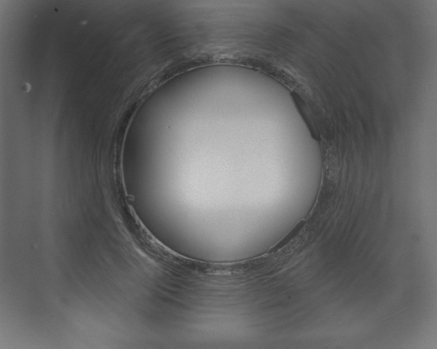 X0000073990740200608211041