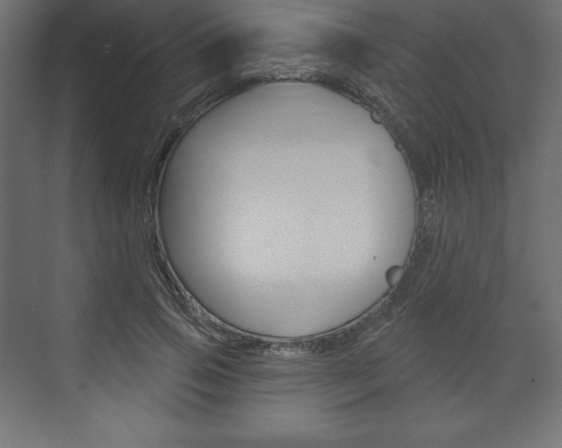 X0000073990741200608211041