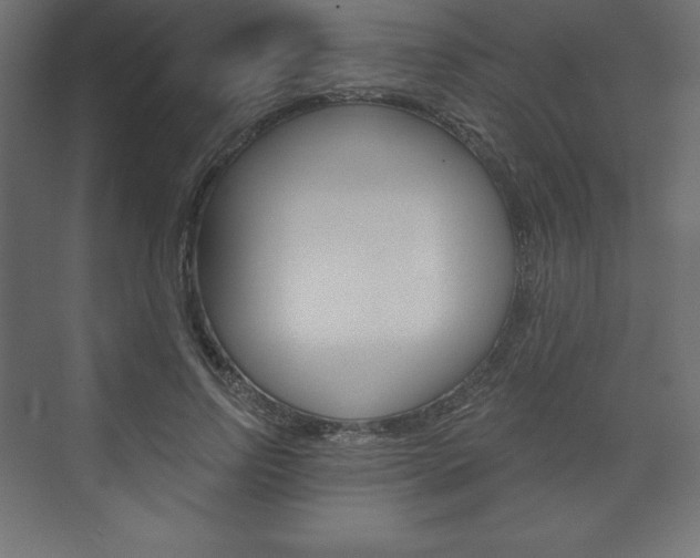 X0000073990742200608211041
