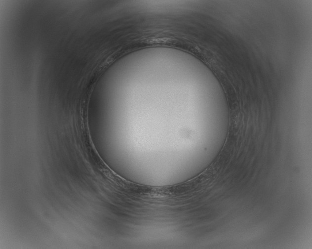 X0000073990743200608211041