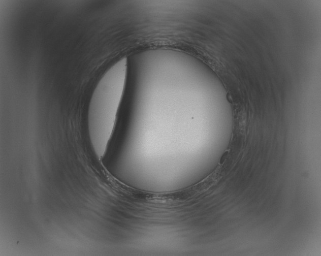 X0000073990746200608211041