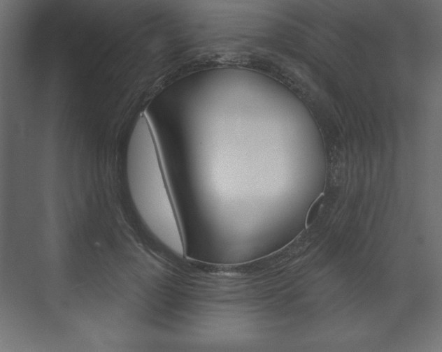 X0000073990748200608211041