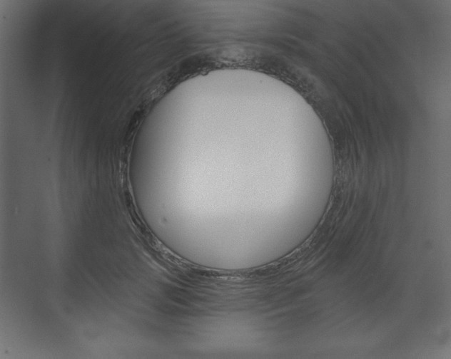 X0000073990749200608211041