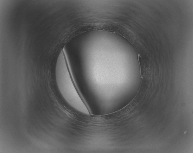 X0000073990750200608211041