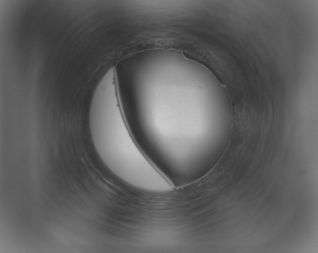 X0000073990752200608211041