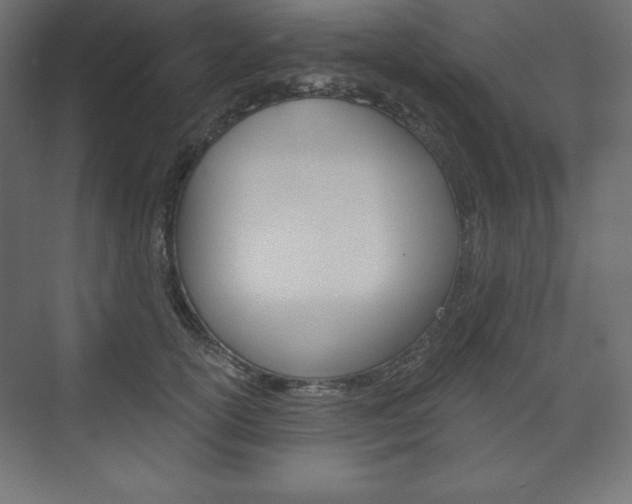 X0000073990754200608211041