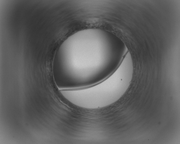 X0000073990756200608211041