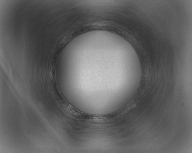X0000073990758200608211042