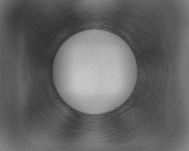 X0000073990762200608211042