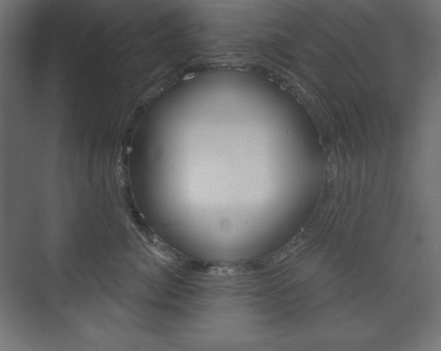 X0000073990764200608211042