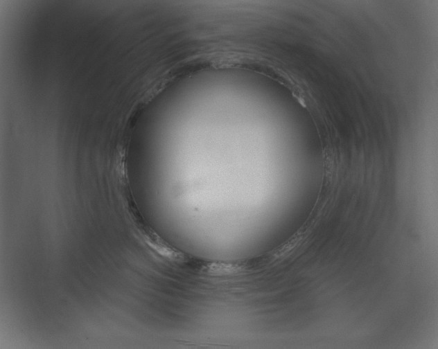 X0000073990766200608211042