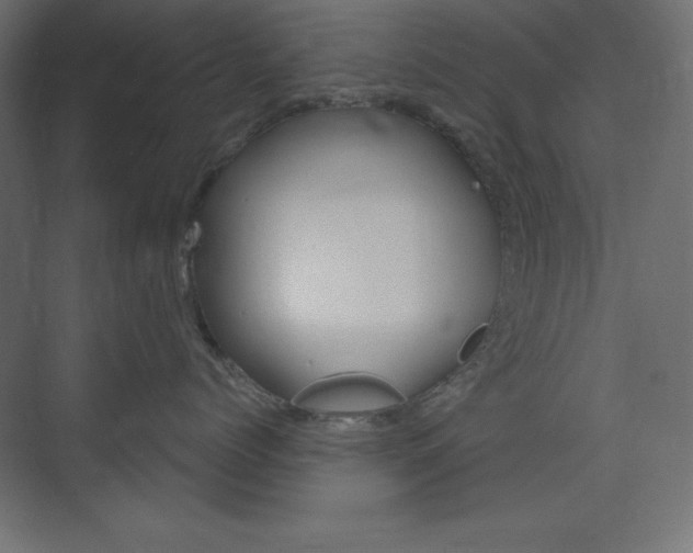 X0000073990768200608211042