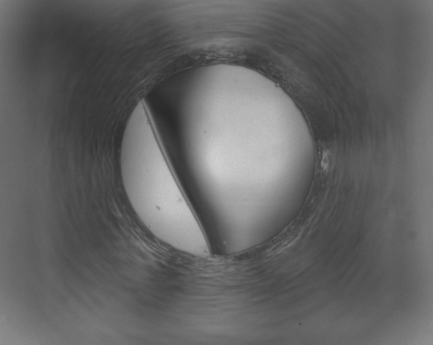 X0000073990771200608211041