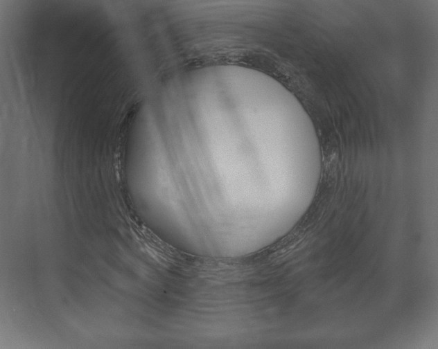 X0000073990772200608211041