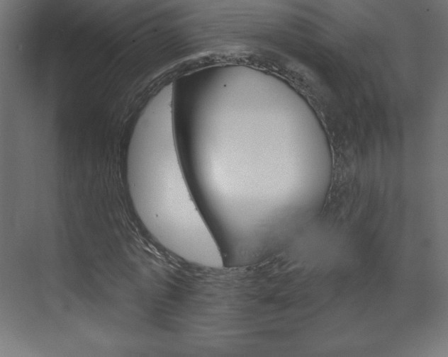 X0000073990773200608211041