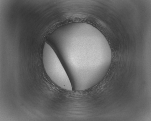 X0000073990774200608211041