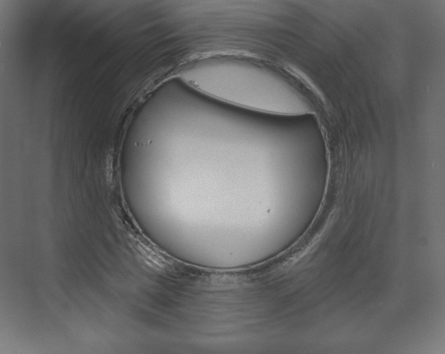 X0000073990777200608211041