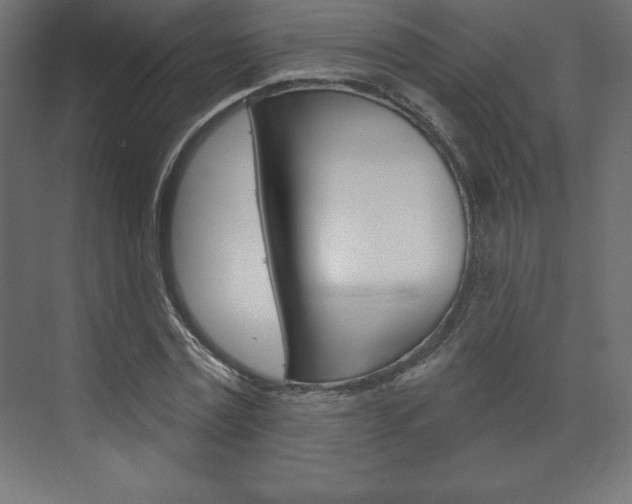 X0000073990779200608211041