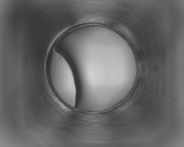 X0000073990780200608211041