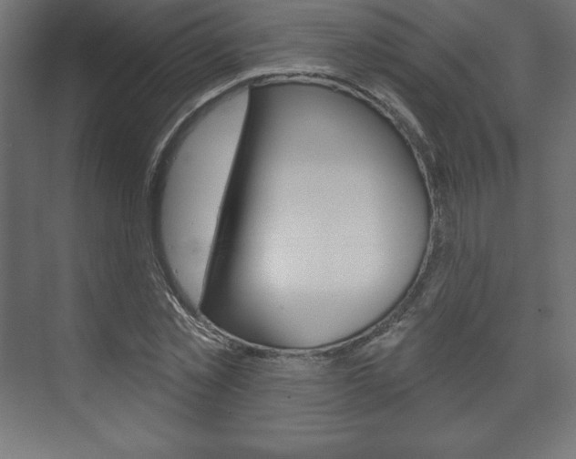 X0000073990781200608211041