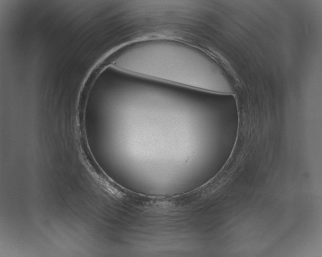X0000073990784200608211041