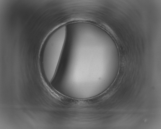 X0000073990787200608211041