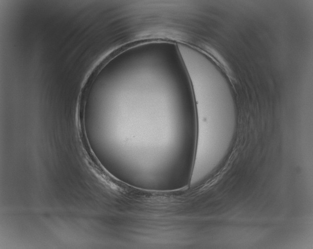X0000073990788200608211041