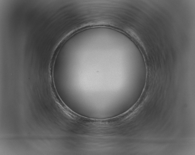 X0000073990789200608211041