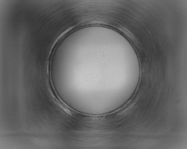 X0000073990790200608211041