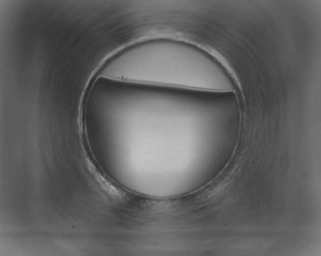 X0000073990791200608211041