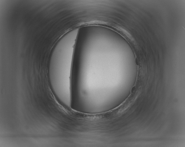 X0000073990793200608211040