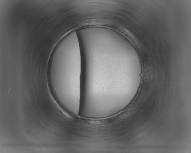 X0000073990794200608211040