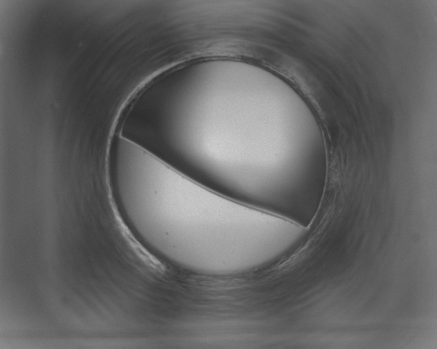 X0000073990795200608211040