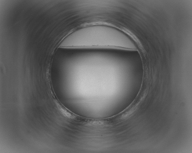 X0000073990801200608211040