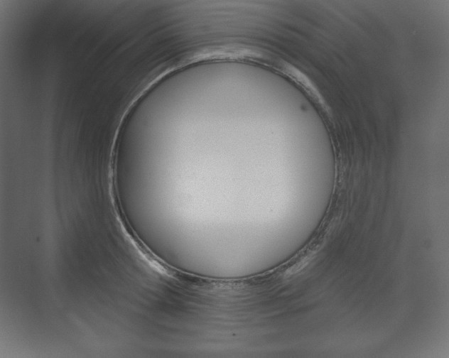 X0000073990802200608211040